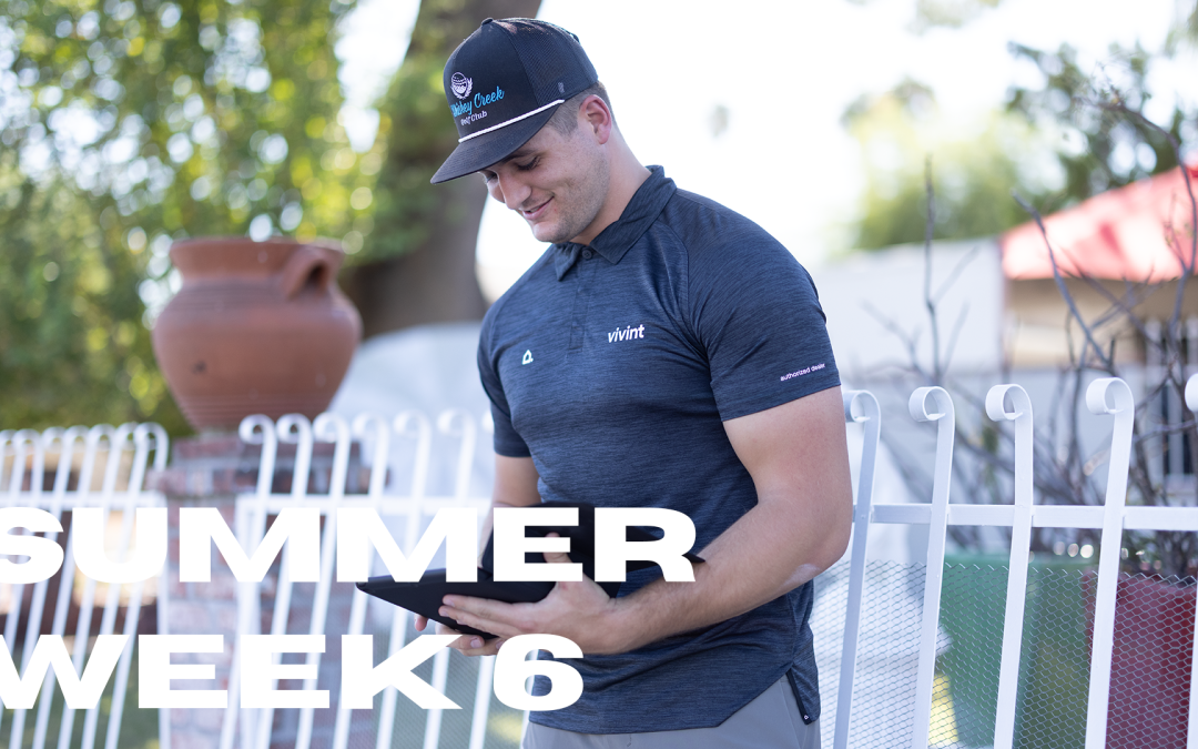 Revolve – Week 6