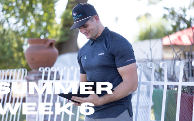 Revolve – Week 6