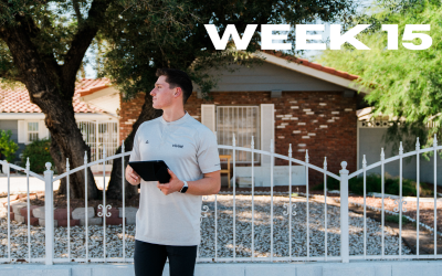 Revolve – Week 15